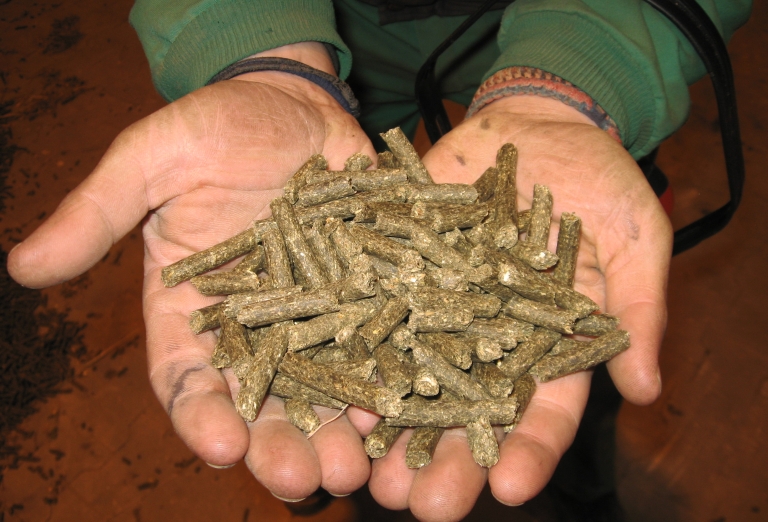 The production of bio-fuel from straw